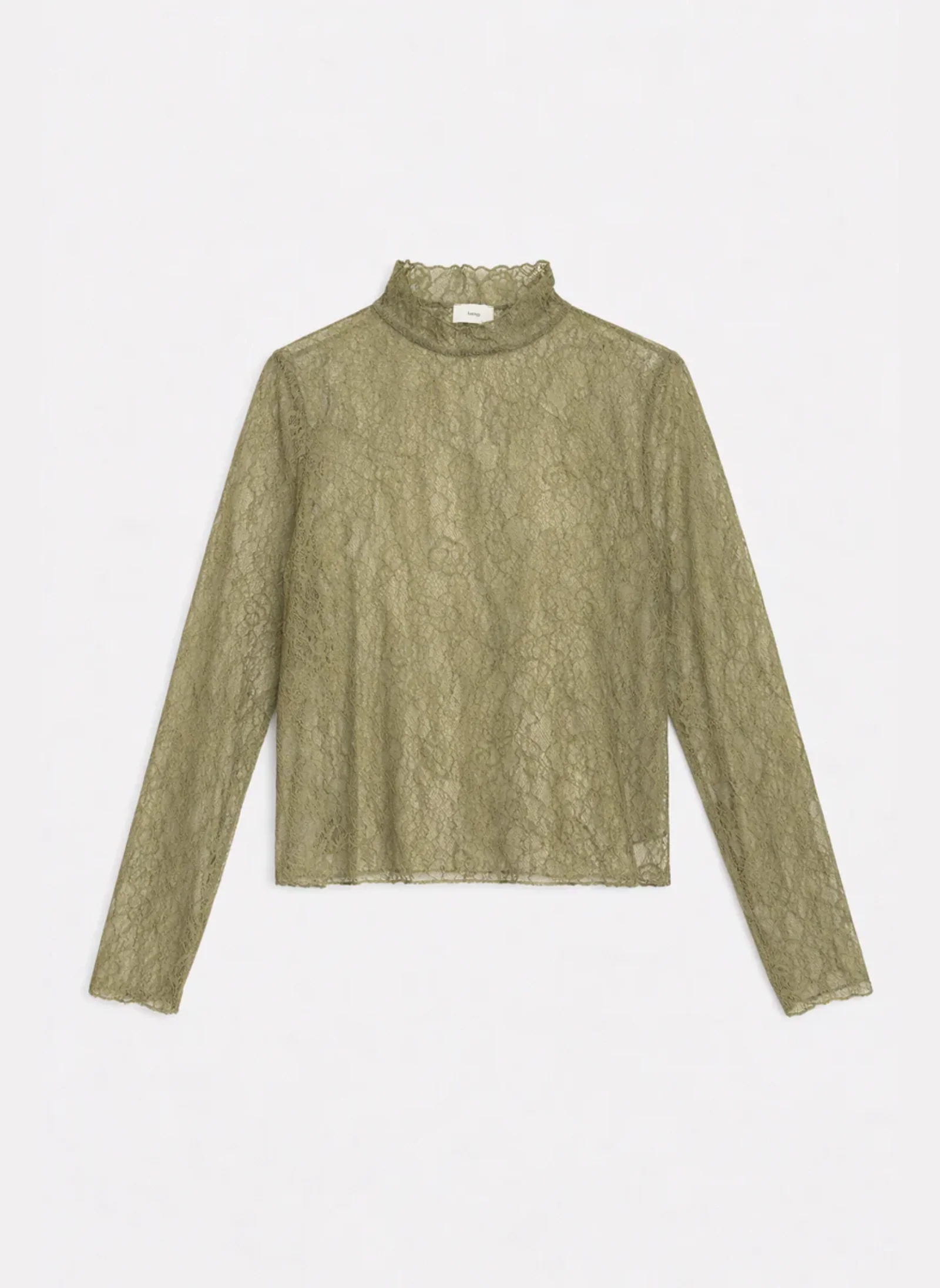 T-SHIRT ALIBANY tilleul - Image 5